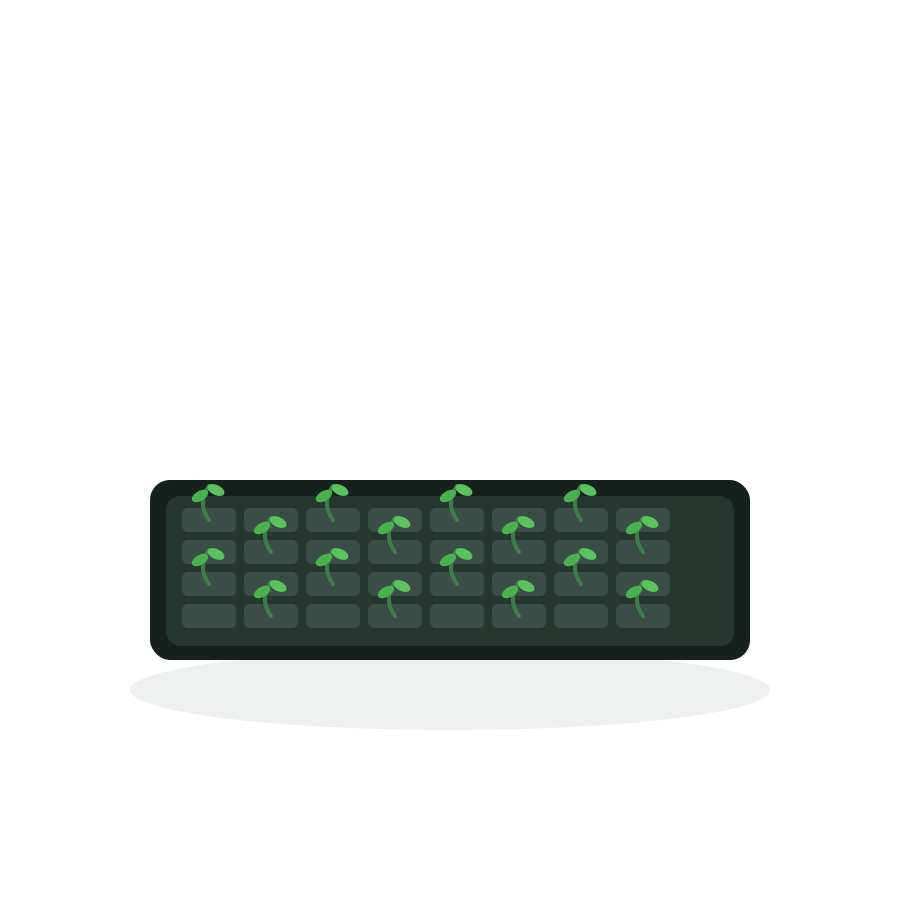 Seedling Tray (32 Cell)